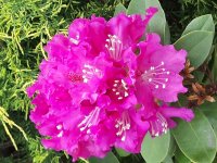 Spotkanie z botanikiem